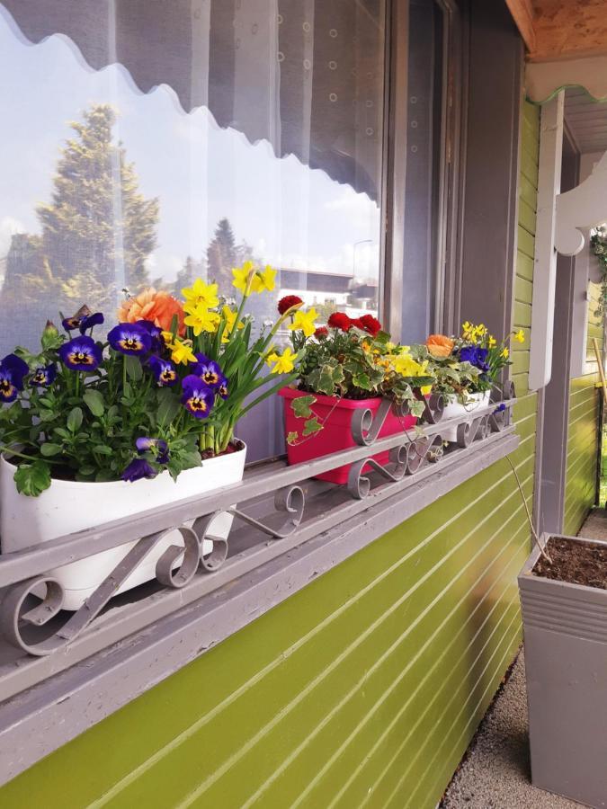 Gite Le Chalet Vert Frambouhans Bagian luar foto